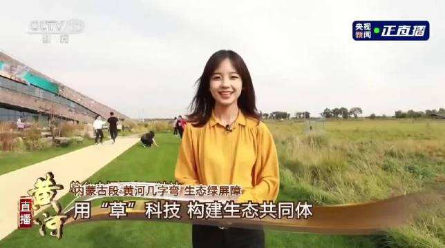 A Female Journalist Becomes the National Darling of Chinese Netizens