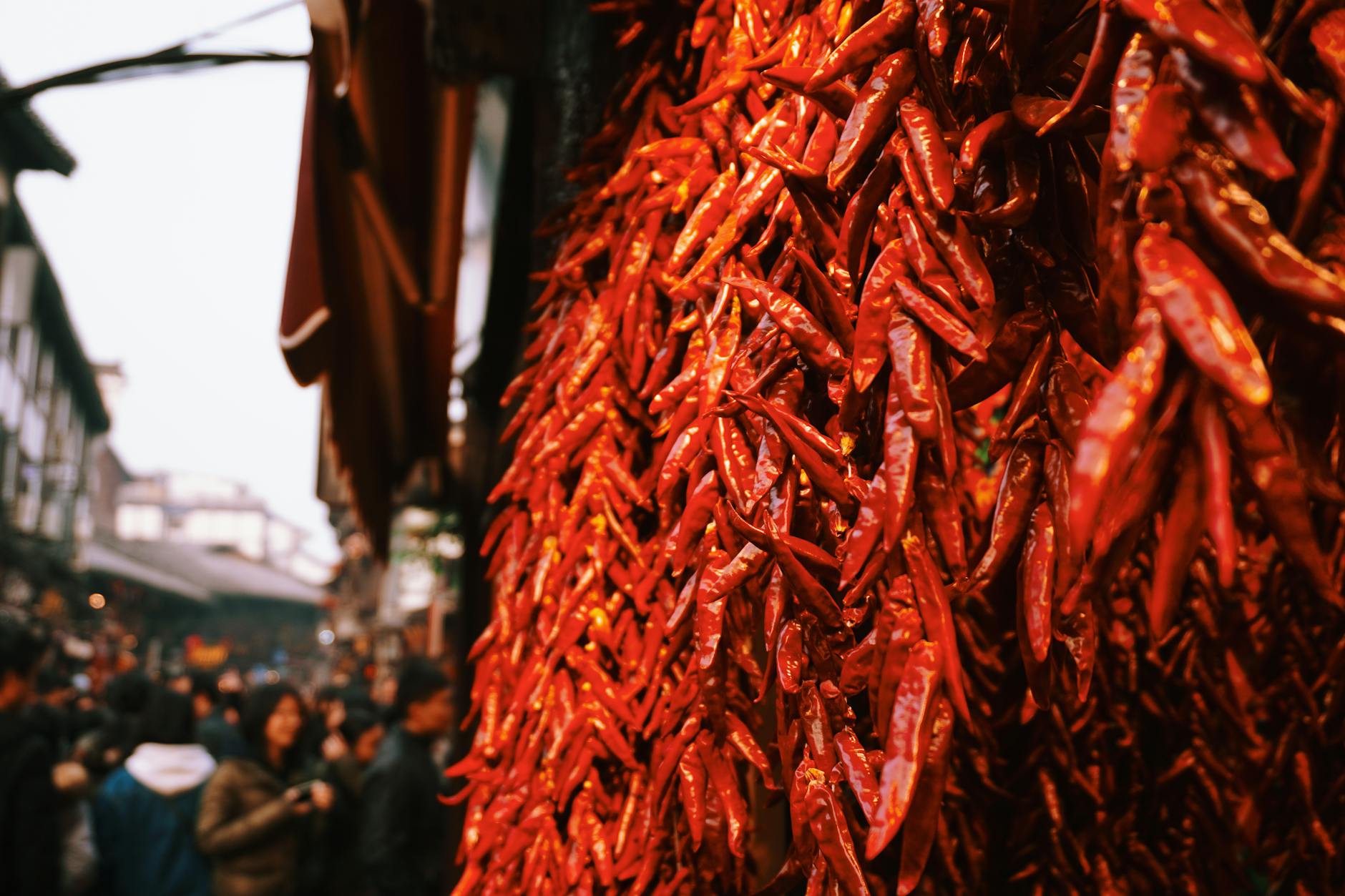 The History of Chili Peppers in Chinese Food