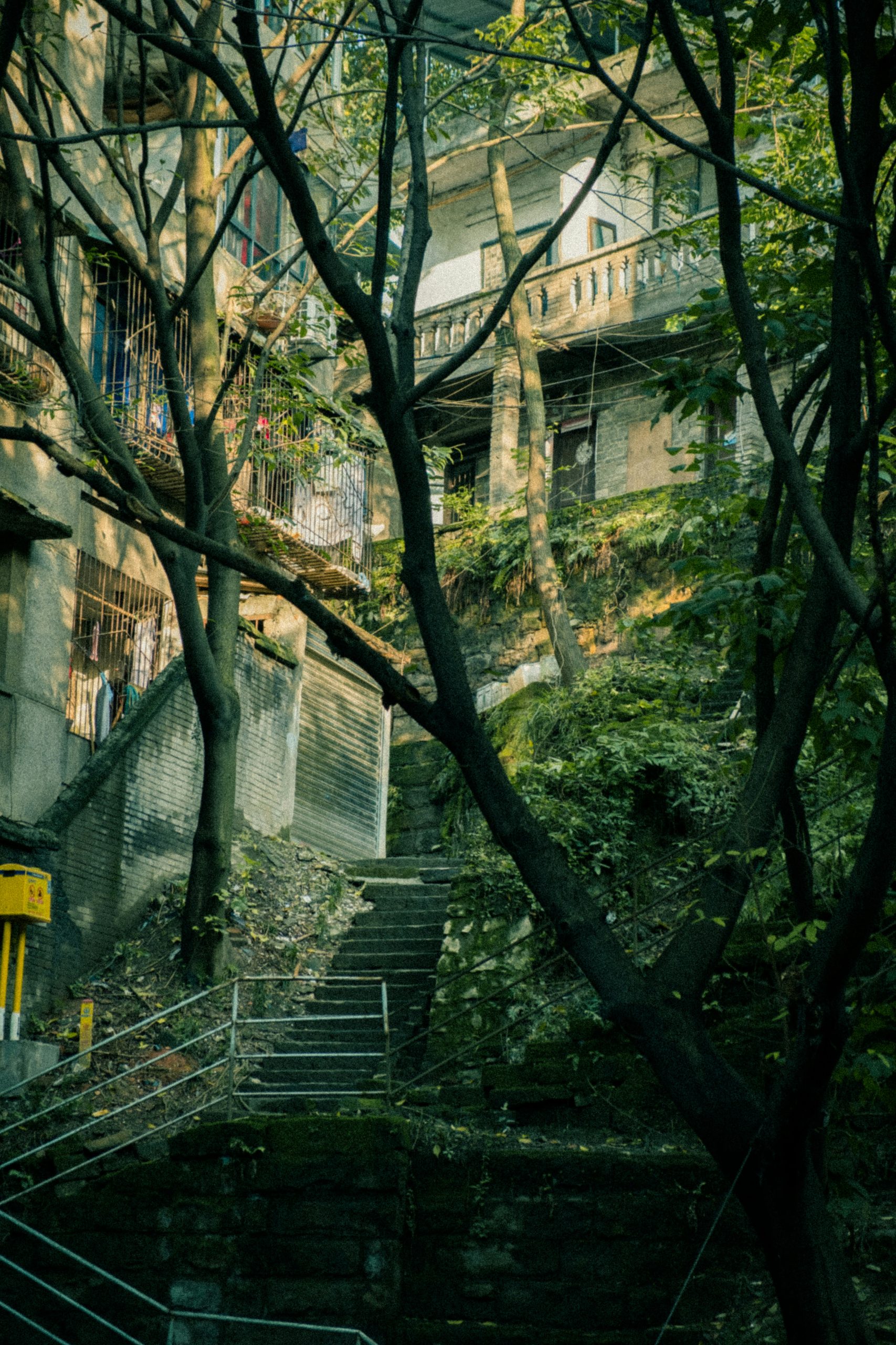 Chinese Urban Legend: Chongqing Lao Gu