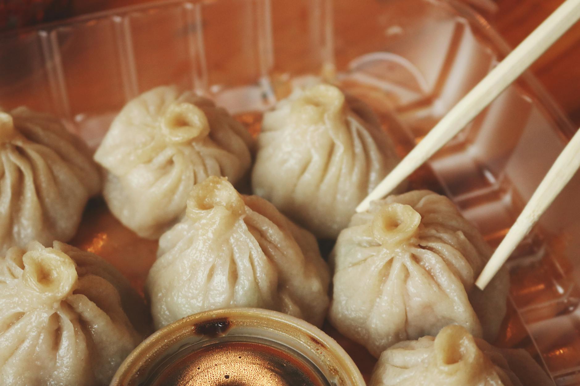 dumplings in plastic container