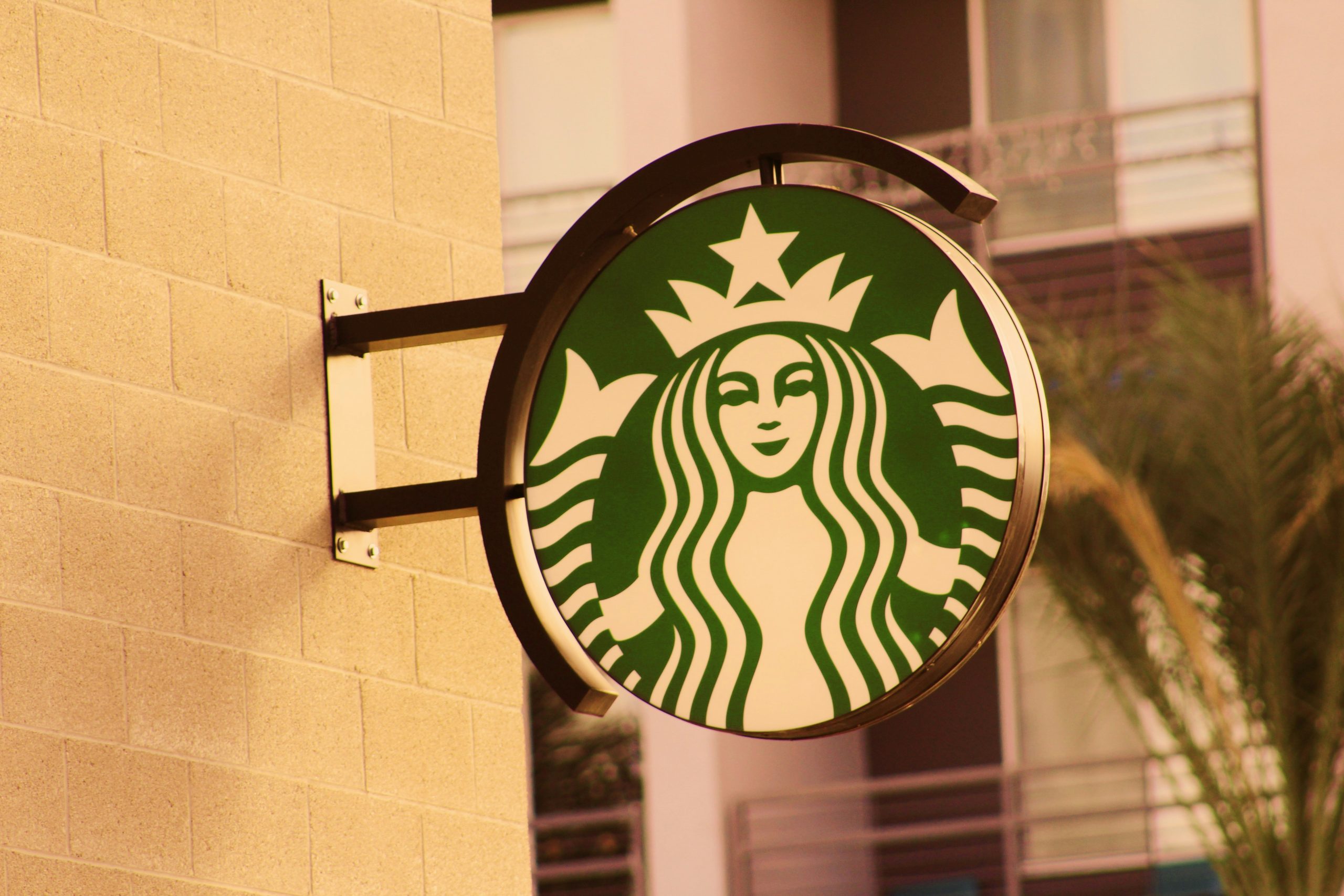Starbucks China’s Decline: How Local Competitors Won the Coffee War