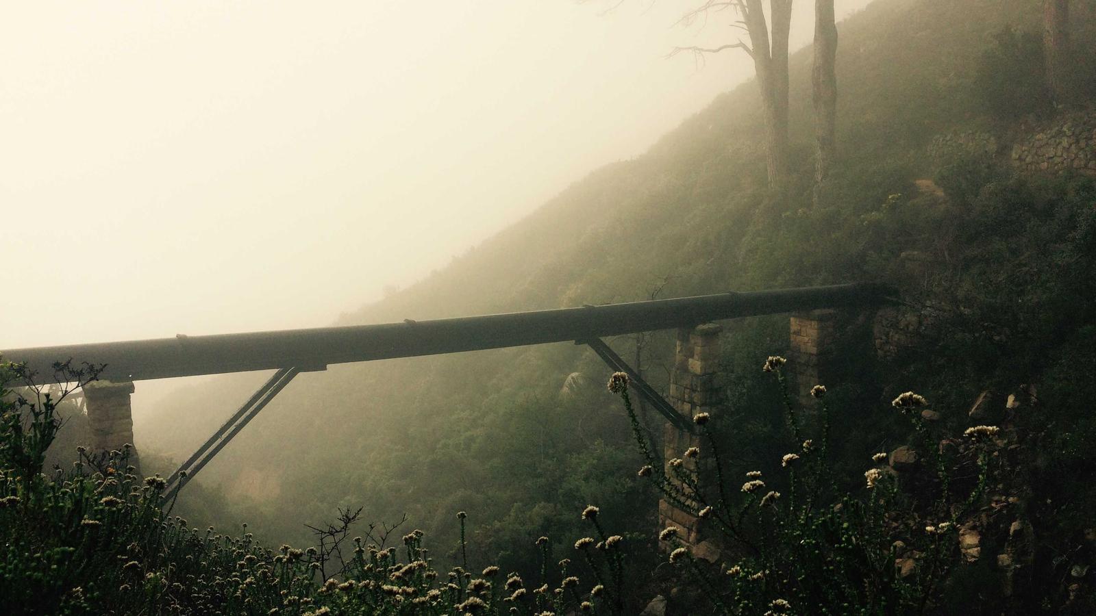 Zhongke Dunxu’s “Collective AGI” pitch is really a bet on organizing physical AI systems, starting with low-altitude security